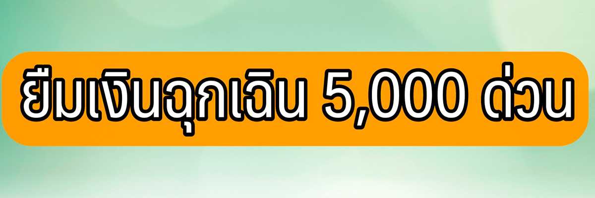 สินเชื่อเมืองไทยแคปปิตอล 5000