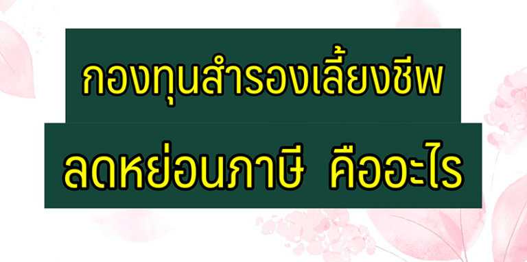 กองทุนลดหย่อนภาษี 2567 ตัวไหนดี และมาดูว่าผลตอบแทนเท่าไหร่บ้าง?